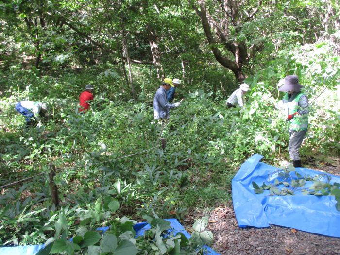 H30年9月20日富丘西公園保全作業の様子2