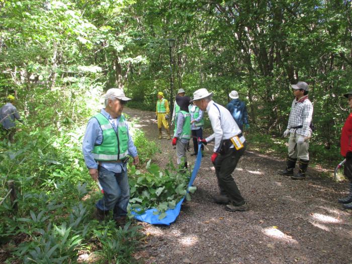 H30年9月20日富丘西公園保全作業の様子3