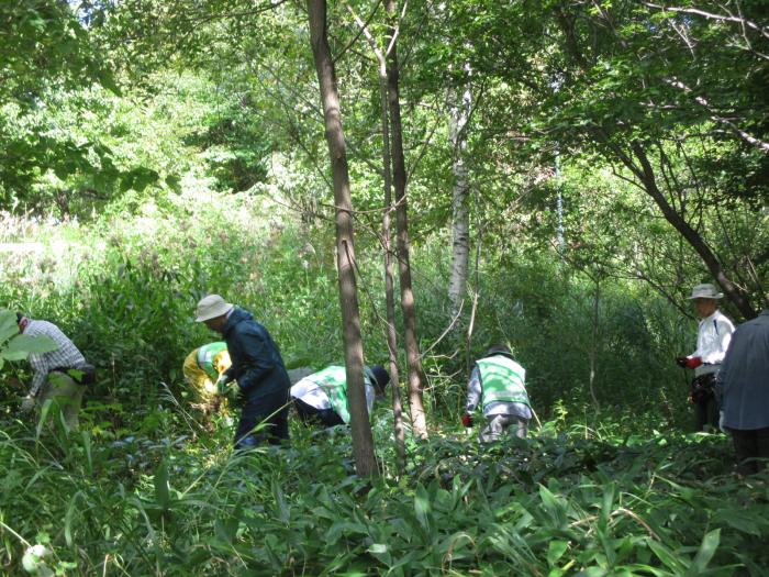 H30年9月20日富丘西公園保全作業の様子4