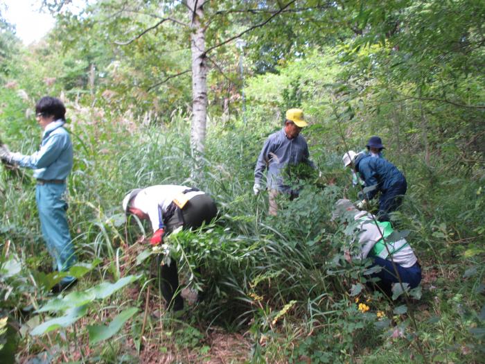 H30年9月20日富丘西公園保全作業の様子5