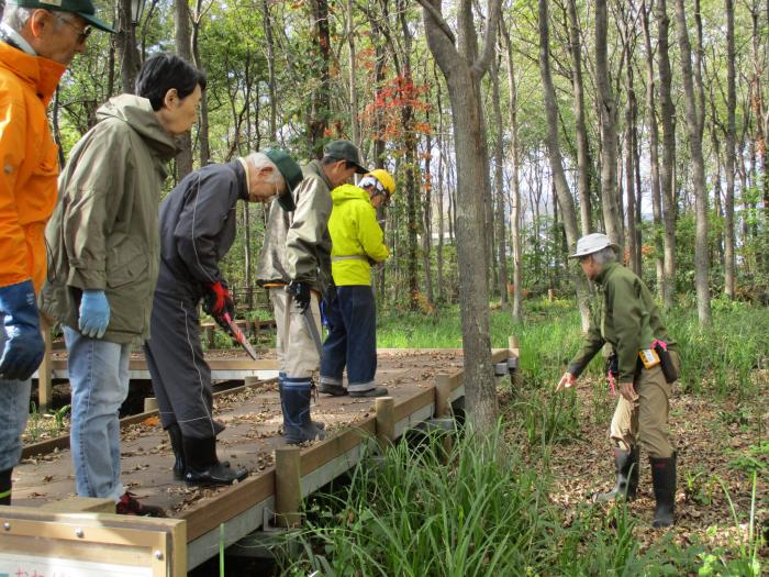 平成30年度星置緑地秋の大掃除の様子2