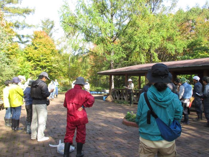 平成30年度富丘西公園秋の大掃除の様子1