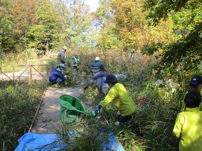 平成30年度富丘西公園秋の大掃除の様子2