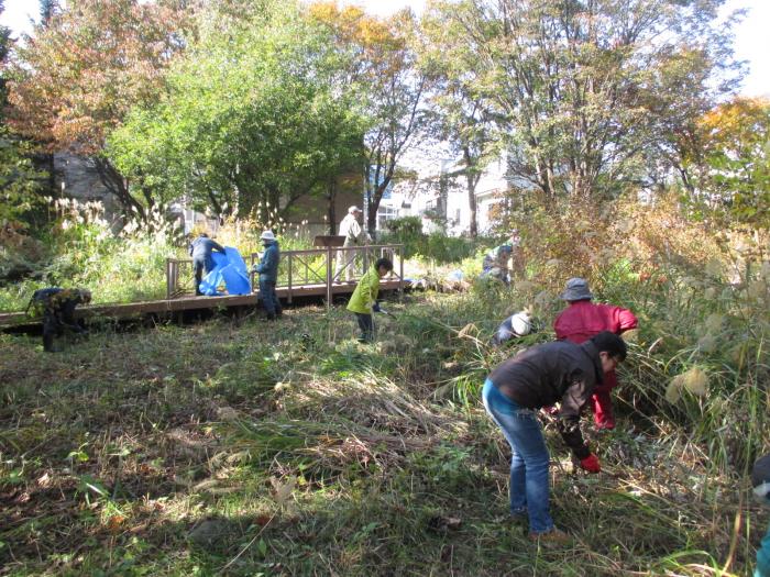 平成30年度富丘西公園秋の大掃除の様子3