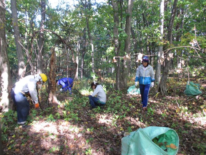 平成30年度稲穂ひだまり公園秋の大掃除の様子5