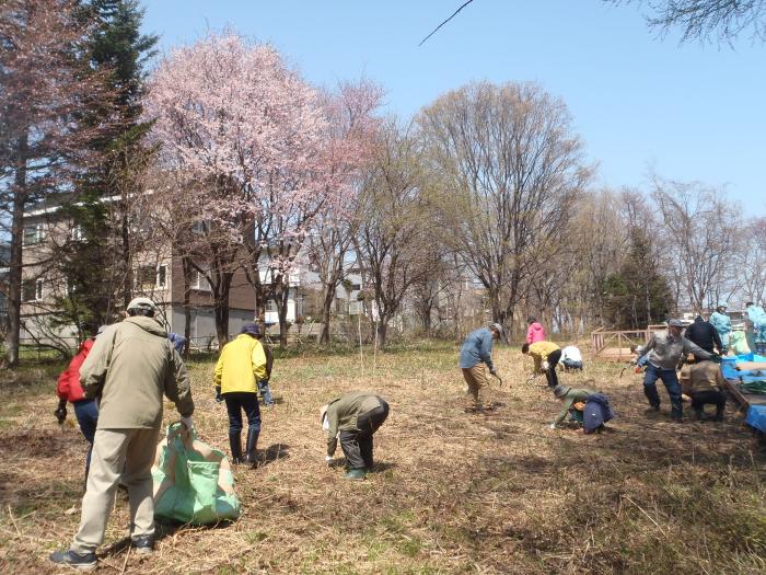 平成31年度富丘西公園作業講習会4