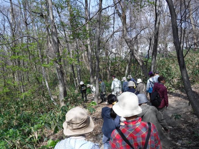 平成31年年度稲穂ひだまり公園自然観察会4