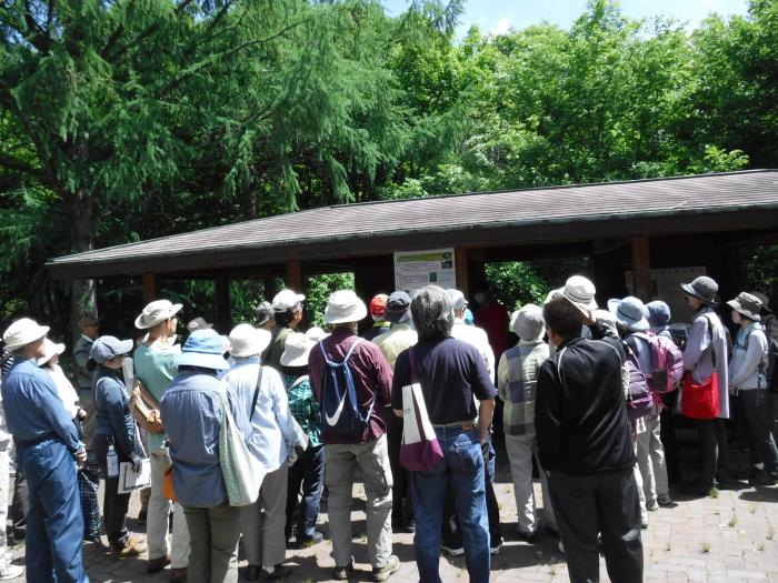 令和元年度富丘西公園自然観察会1