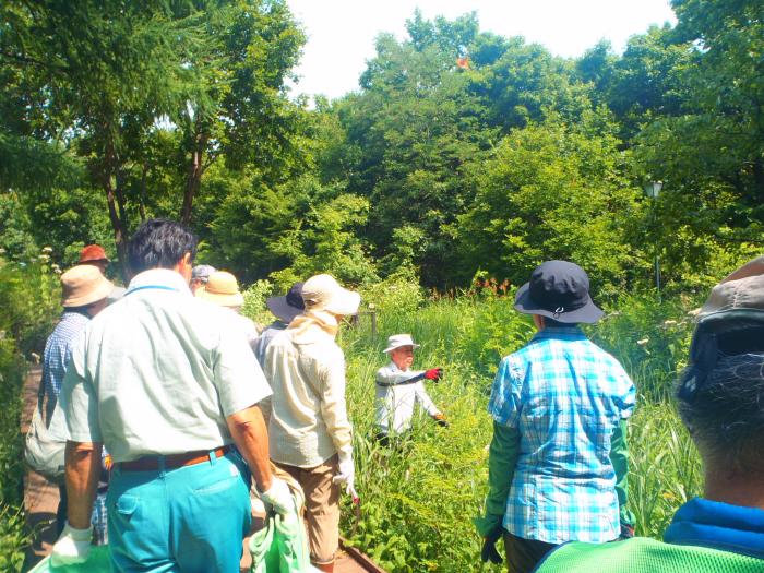 2019年度富丘西公園保全作業3