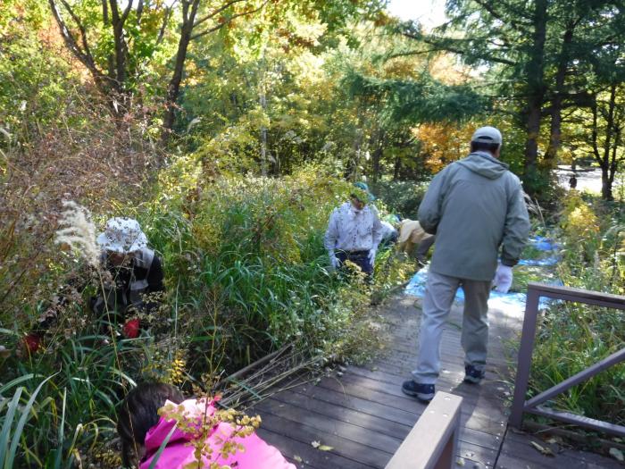令和元年度富丘西公園秋の大掃除の様子3