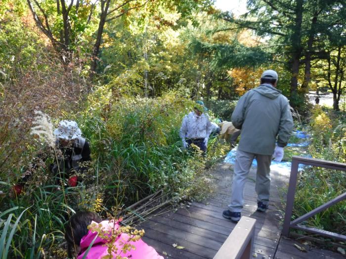 令和元年度富丘西公園秋の大掃除の様子3