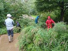 9月4日富丘西公園作業講習会草抜き1