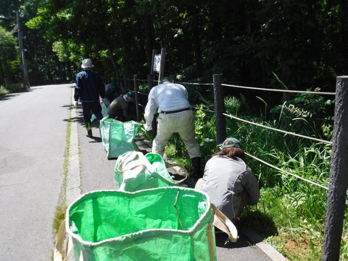 2019年度星置緑地保全活動1回目4