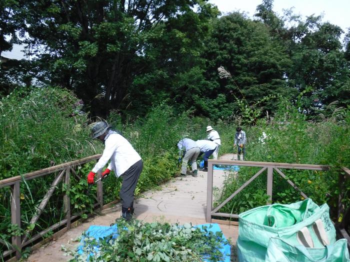 令和元年9月富丘西公園保全活動の様子2