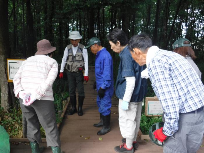 令和元年9月星置緑地保全活動の様子1