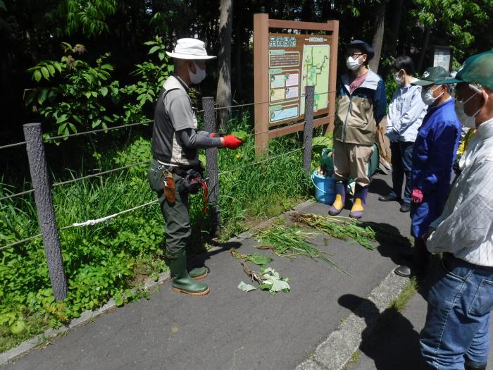 専門家による植物のレクチャーを受けてから作業を開始しました。