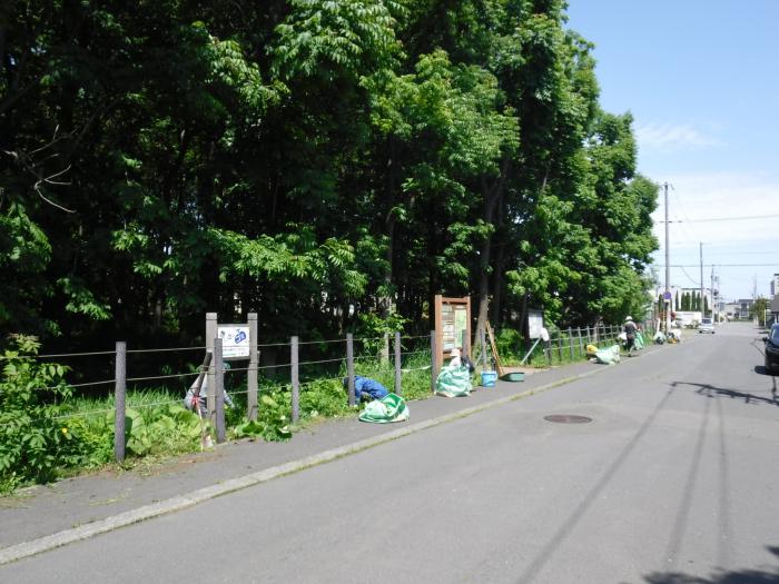 保全活動の常連さんも多く、植物を選別しながらあっという間に作業が終わりました。