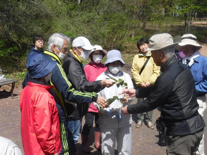 R6年4月29日富丘西公園作業講習会2