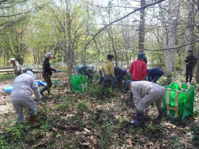 R6年4月29日富丘西公園作業講習会3
