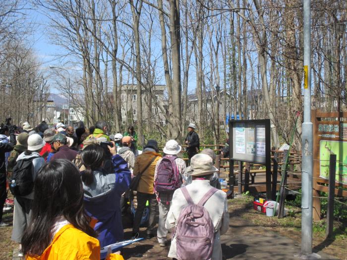 平成31年度星置緑地自然観察会1