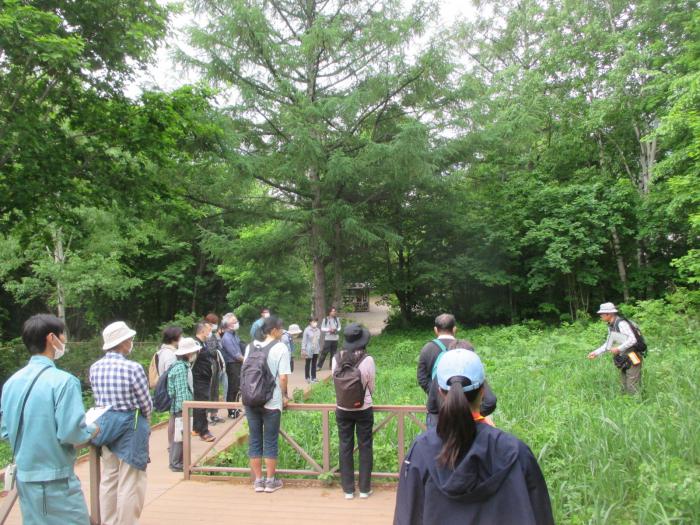 自然観察会5月28日2