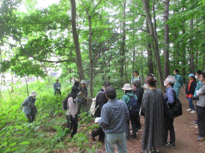 自然観察会5月28日3