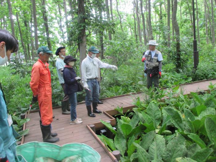 ミニ観察会