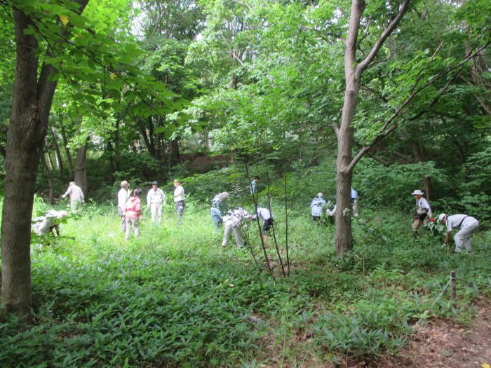 R6年8月1日富丘西公園作業講習会1