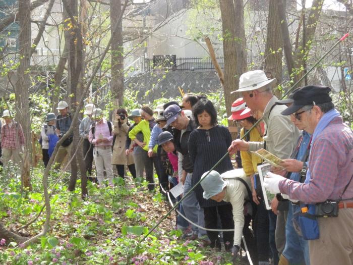 稲穂ひだまり公園自然観察会の様子5