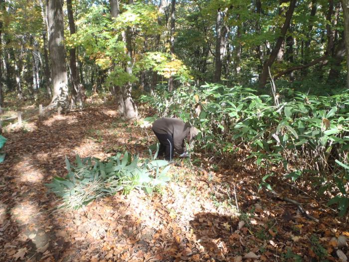 R041026稲穂ひだまり公園秋の大掃除5