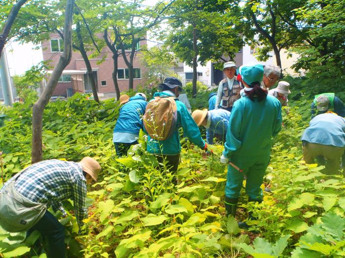 令和元年第2回富丘西公園保全活動2