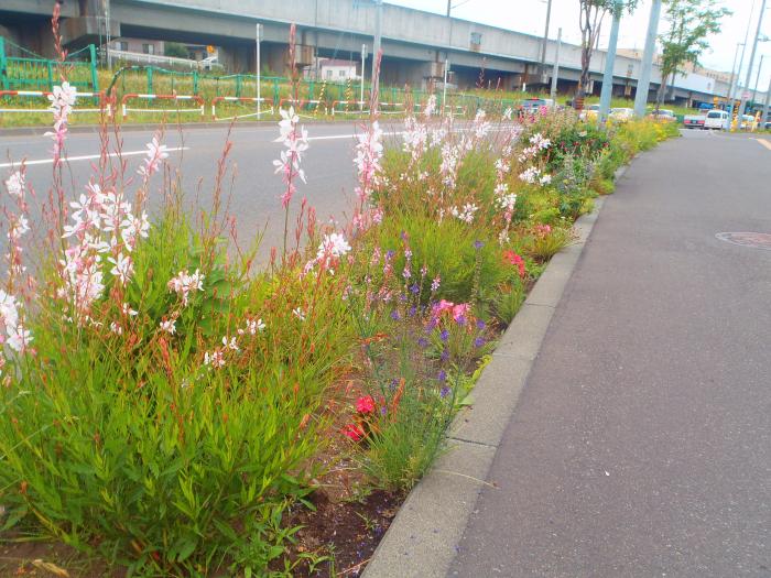 R1暁星第四ます花壇