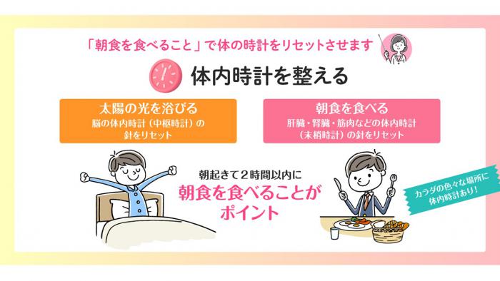 体内時計