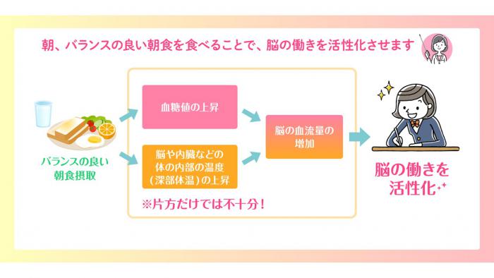 脳の働き