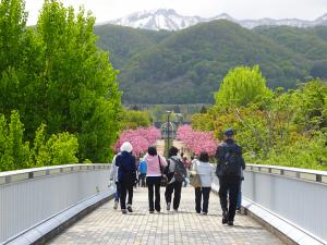 ほしみ緑地の様子