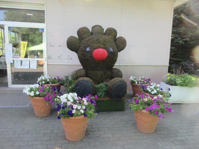 ていぬトピアリー