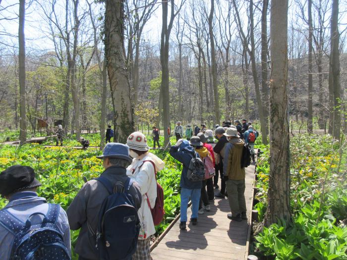 星置緑地自然観察会