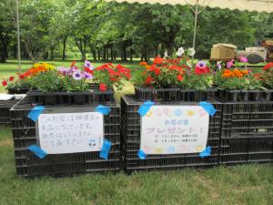 花苗配布