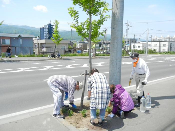 手分けをして花苗を植えている写真