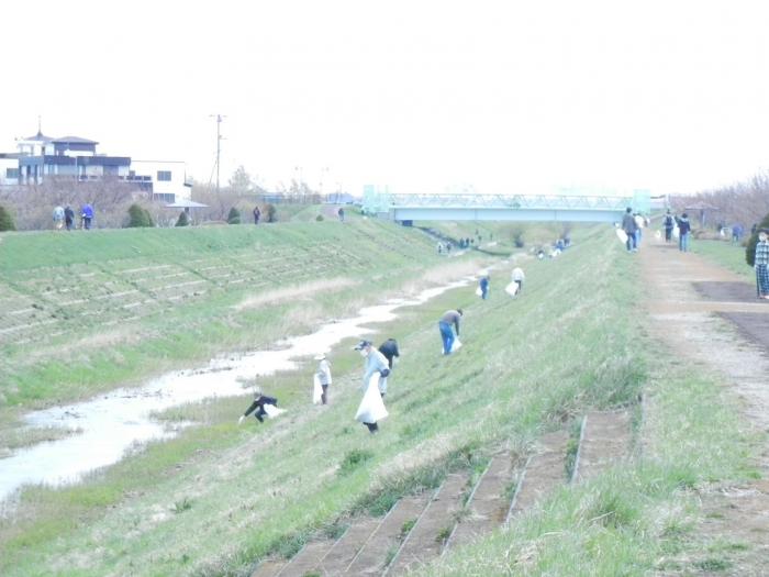 軽川一斉清掃