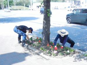 花街道植栽の様子2