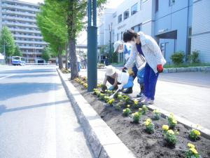 花街道植栽の様子3