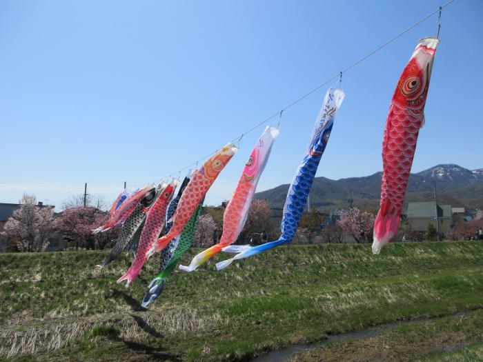 こいのぼりが泳いでいる写真