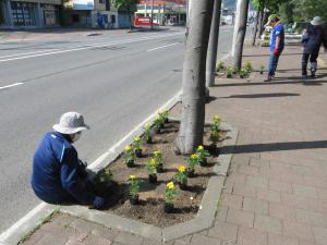 花を植えている写真