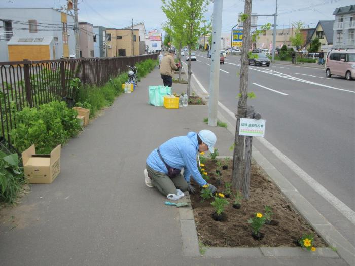 花を植えている写真