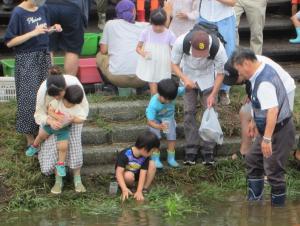 軽川に魚を放流している写真