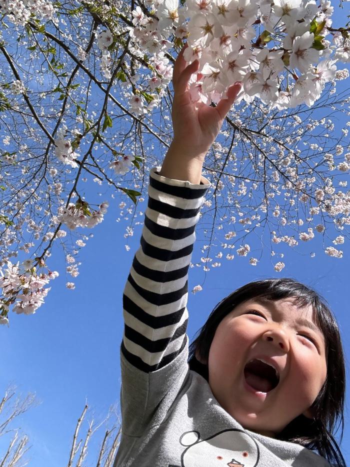最優秀賞の作品
