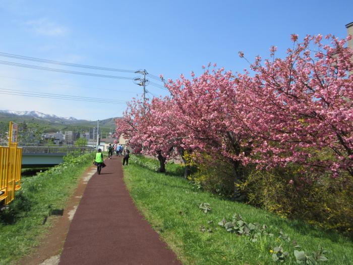 快晴の軽川をウォーキング