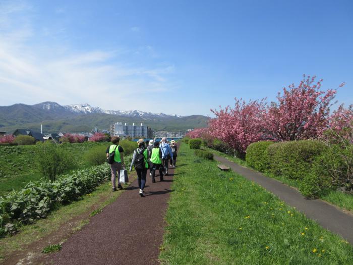 快晴の中で手稲山もきれいです