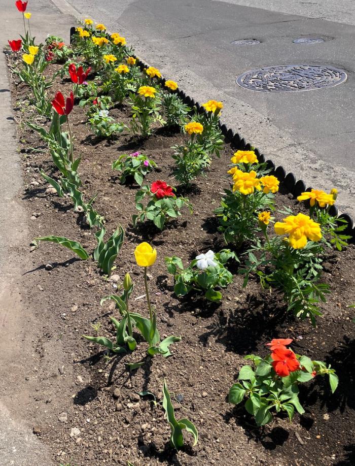 歩道ます花壇もきれいです